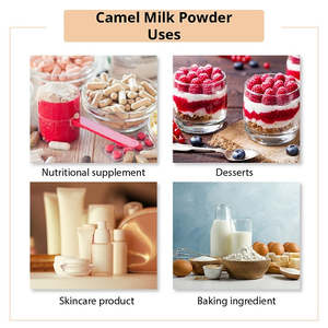 Camel <b>Milk</b> Powder Sterilized Middle East Origin for Adults Bulk Packaging for Feed by Camel Dairy Co. - Product Image 4