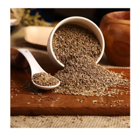 Graines de cumin d'origine de haute qualité Graines Jeera Arôme fort Goût naturel Épice sans gluten Fournisseur en gros d'exportation