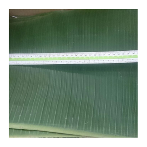 Feuille de bananier fraîche congelée-Feuilles de bananier d'exportation de haute qualité 100% naturelles pour l'emballage des aliments asiatiques et le marché d'exportation - Product Image 3