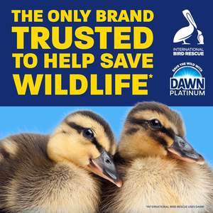 น้ำยาล้างจาน ดอว์น แพลตตินัม กลิ่นรีเฟรชชิ่งเรน 16.2 ออนซ์ (แพ็ค 2 ขวด) - Product Image 4