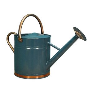 Regadera de jardín de acero Premium Regadera de metal resistente Regadera de acero inoxidable para interiores/exteriores Regadera de acero - Product Image 1