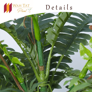 ผ้าพลาสติกเทียมขนาด60ซม. พุ่มไม้พุ่มพุ่มพุ่มบอสตันธรรมชาติสีเขียวมองหา OEM สำหรับตกแต่งบ้านสีเขียว - Product Image 5