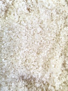 Venta al por mayor de arroz japónica de grano de Vietnam de primera calidad/arroz calrose Riz Arroz Rise Riso arroz blanco de grano corto/ANNA DO VILACONIC - Product Image 3