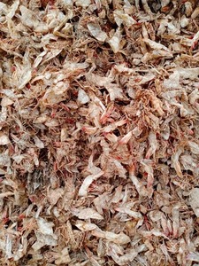 Polvo de cáscara de camarón orgánico de alta calidad-Alimentación animal natural - Product Image 2