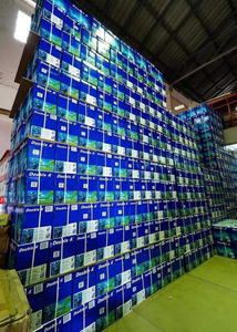 <b>A4</b> 80gsm 90gsm Eco-Friendly <b>Printing</b> <b>Paper</b> for Commercial Use and Office Stationery - Product Image 5