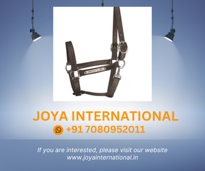 Eather-cabestro con cuello Halter, accesorio Para Caballo de cebra, doblado - Product Image 2