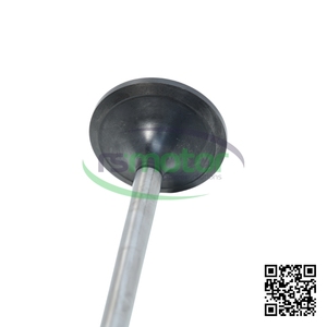Válvula de Admisión Original OEM para Motor de Gas Natural MWM RS-12372445, Piezas de Motor - Product Image 5