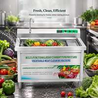Eddy Current Fruit- en groentewasmachine, roestvrijstalen spoelbakwasser voor restaurantkeuken, rechtstreeks van de fabriek