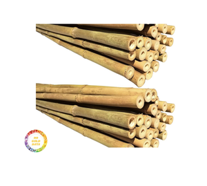 Sustainable Bamboo <b>Pole</b> Bamboo Tube <b>for</b> Furniture Interior <b>Garden</b> Craft Wholesale Export Supply Manufacturer - Product Image 4