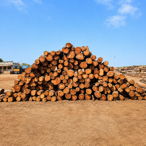 Bûches de teck d'Afrique de l'Ouest de qualité supérieure |   Bûches de bois dur à haut rendement pour scieries et meubles de luxe, export en vrac - Product Image 3