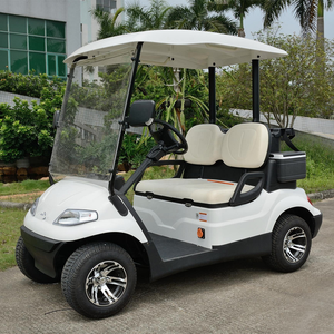 Carrito de Golf Inteligente de 2 y 4 Plazas con Diseño Adaptado para Carga - Product Image 2