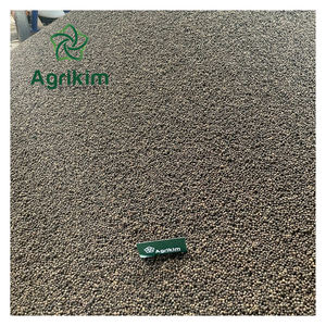 Pimienta Negra Seca de Origen Vietnamita, Mejor Calidad, Nueva Cosecha, Multiusos, Alto Grado, Gran Sabor, Natural +84399521266 - Product Image 1