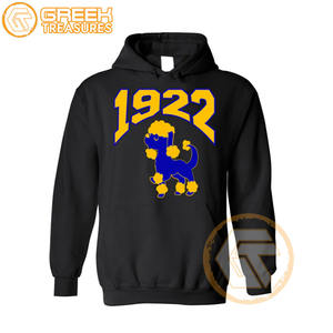 Sudadera con capucha bordada de lana de algodón Sigma Gamma Rho personalizada, suéter de alta calidad de la Hermandad, ropa griega, sudaderas con capucha para mujer - Product Image 5
