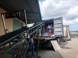 พริกขาว/ดำเกรดพรีเมี่ยมคุณภาพสูงจากโรงงานเวียดนามเผ็ดร้อนอบแห้งโฆษณาประเภทแปรรูปดิบ25กก./ถุง PP - Product Image 4