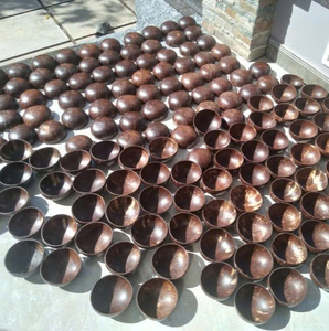 Juego de tazones desechables ecológicos de cáscara de coco pulida de Vietnam con muy buen precio para el mercado de la UE - Product Image 3