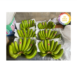 Banane fraîche authentique fruit tropical du Vietnam parfait pour les smoothies cuisson garniture de dessert et approvisionnement de distribution mondiale - Product Image 5