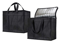 Sac isotherme en TPU avec fermeture éclair, imperméable, pour le camping, les pique-niques, les voyages, les événements en plein air, personnalisable OEM