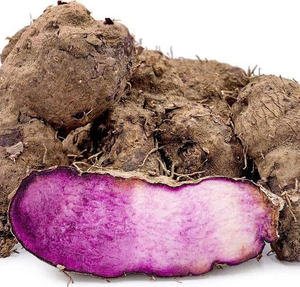 Polvo de ñame vietnamita de grado de exportación: 100% natural y seguro. - Product Image 4