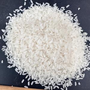 Riz blanc dur sans OGM de haute qualité biologique Soc Mien Calrose riz à grains moyens 5% riz cassé Riz séché blanc sans OGM Riz \ ANNA DO - Product Image 4