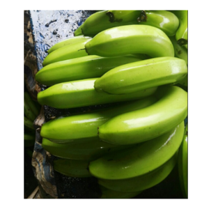 Emballé avec des bananes en gros de saveur: Meilleurs prix garantis Meilleur prix Cavendish Banana Farm-Bananes fraîches, - Product Image 1