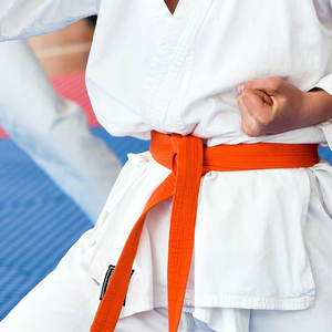 Uniforme de Taekwondo para niños y adultos, uniforme de Taekwondo WTF, Dobok, con logotipo personalizado de fábrica, venta al por mayor - Product Image 4