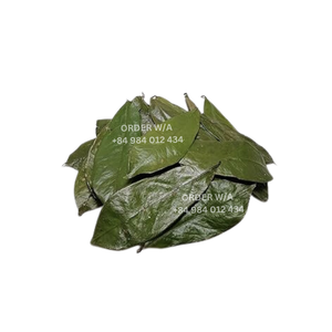 ใบกริโอลาแห้ง100% ชาสมุนไพรธรรมชาติ - Product Image 5