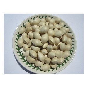 Noix de Ginkgo séchées / Noix de Ginkgo fraîches / Noix de Ginkgo crues fraîches - Product Image 3