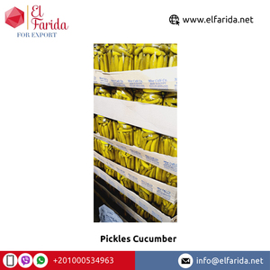 Fournisseur en gros de quantité de qualité supérieure meilleures ventes d'assaisonnements et de condiments cornichons concombre d'egypte - Product Image 2