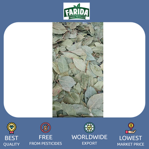 Produits d'épices simples de qualité supérieure de haute qualité Feuille de laurier séchée/Feuilles de laurier d'Égypte Exportateur et fournisseur d'origine - Product Image 3