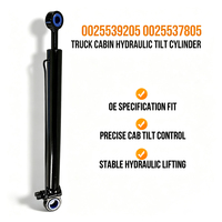 Cylindre d'inclinaison de cabine 0025539205 0025537805 Cylindre hydraulique d'inclinaison de cabine pour système de carrosserie de camion Mercedes-Benz ACTROS MP1 MP2 MP3