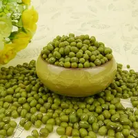 Toptan Premium Agroculture organik kurutulmuş maş fasulyesi filizi Mung yeşil fasulye