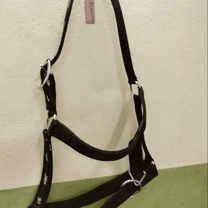 Alta calidad Nylon Horse Halter Nylon suave acolchado Nariz Banda Material de cuero duradero Cuello Aleación Hardware Cuerda Halters Producto - Product Image 2