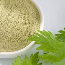 INGREDIENTE DE ETIQUETA LIMPIA DE ALTA FIBRA EN POLVO DE HOJA DE APIO VERDE PURO PARA UNA RUTINA DE DIETA SALUDABLE - Product Image 3