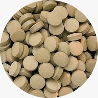 Grenera Noni Tabletten Halal/Kosher/ISO Gecertificeerd Natuurlijk Plantaardig Op basis van Gedroogd Noni Fruitpoeder 500mg/1000mg voor Algemeen Gebruik