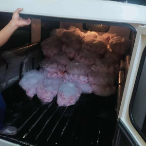 Pollo Entero Congelado Halal IQF en Caja con 12 Meses de Duración - Product Image 1