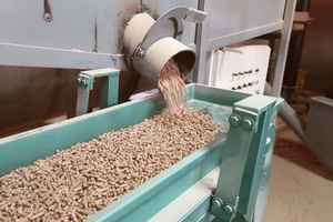 Pellets de madera de la mejor calidad, energía de biomasa asequible a la venta - Product Image 4