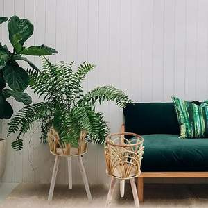 Soporte para Plantas de Interior Estilo Boho Rústico DreamCraft, Macetero Tejido Alto, Cesta Decorativa para Plantas, Textura de Jardín Interior - Product Image 2