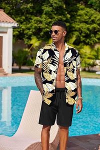 Conjunto de Verano para Hombre, Estilo Hawaiano, Informal, Transpirable, Antiarrugas, Tejido de Punto, Estampado, Cómodo, Venta al Por Mayor - Product Image 5
