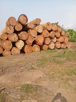 Bois de teck, bois d'acajou, grumes de chêne