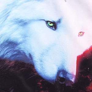 Chándal Deportivo de Forro Polar Técnico de Algodón con Capucha y Cremallera Completa para Hombre, Tallas Grandes, Ligero, Transpirable, Estampado y Personalizado, para Invierno - Product Image 6