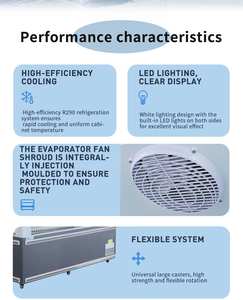 ตู้แช่แข็งแบบตั้งโชว์ในซูเปอร์มาร์เก็ตพร้อมเครื่องระเหยท่อทองแดงสำหรับเก็บอาหารแช่แข็ง - Product Image 6