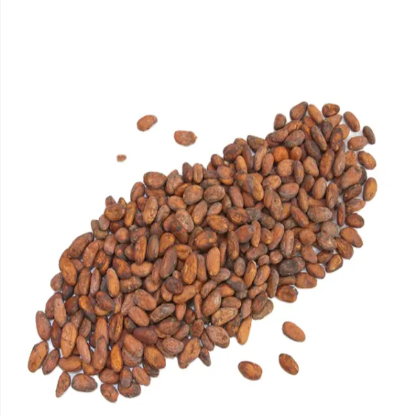 Ready for Sale Fast Delivery of Natural Dried Raw Cocoa Beans Bulk Supply Wholesale Rate Cacao Beans in Stock