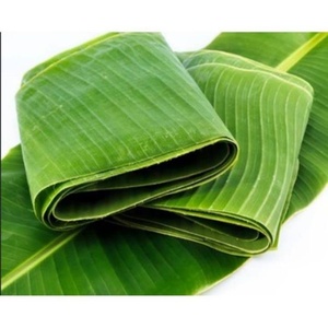 Vente en gros de rouleaux de feuilles de bananier surgelés Matériau durable de haute résistance pour cuire à la vapeur et faire bouillir les aliments - Product Image 1