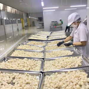 ลิ้นจี่กระป๋องในน้ำเชื่อมจากเวียดนาม - Product Image 6