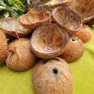 เปลือกมะพร้าววัตถุดิบเป็นมิตรต่อสิ่งแวดล้อมขายส่ง - Product Image 2