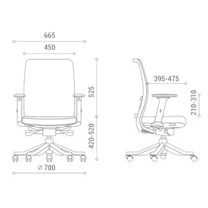 Silla de Oficina Ergonómica ANTO2 HOGVP073, Malla Premium, Base Giratoria, Anti-Fatiga, Altura Ajustable, Diseño Contemporáneo para Uso en el Hogar - Product Image 2