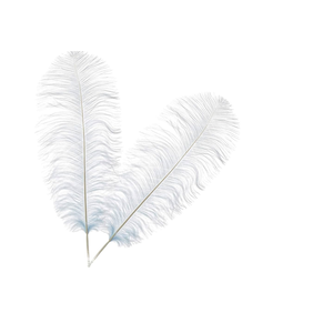 Plumas de Pavo Lavadas en Venta a Precios Bajos, Mejora tus Proyectos con Plumas de Lujo para Manualidades - Product Image 1