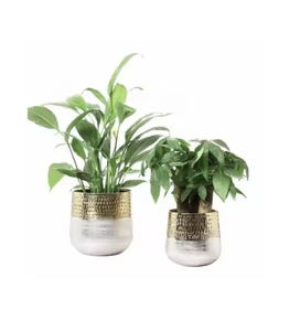 Jardinières en métal de qualité supérieure à forte demande pour la décoration intérieure de luxe Bas quantité minimale de commande les pots de plantes d'intérieur les plus recherchés - Product Image 5