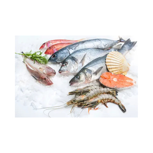 Atún Congelado al por Mayor, Entero y Redondo, Envasado al Vacío, Mejor Calidad para Fabricantes de Alimentos y Chefs, Precios Bajos en Pedidos al por Mayor - Product Image 1