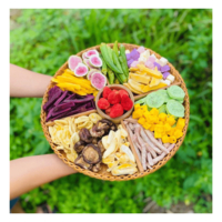 Gemengd gevriesdroogd fruit, gevriesdroogde fruitmix voor bakkerijdecoratie, ontbijtgranen en voedselvoorziening, Vietnam